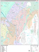 Mission Viejo Wall Map Premium Style